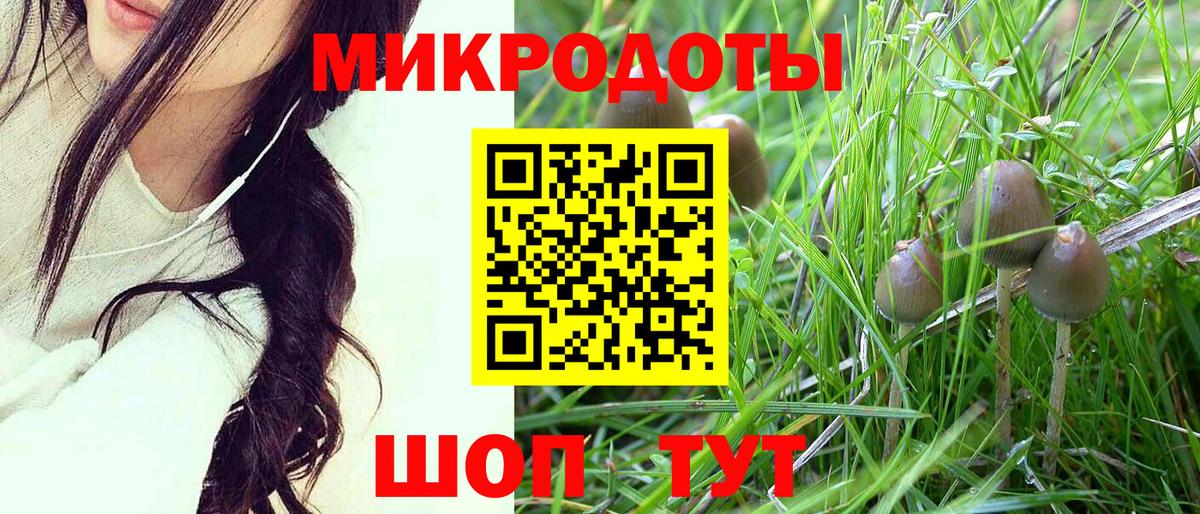 Галлюциногенные грибы мицелий  Вход с VPN  Лениногорск 
