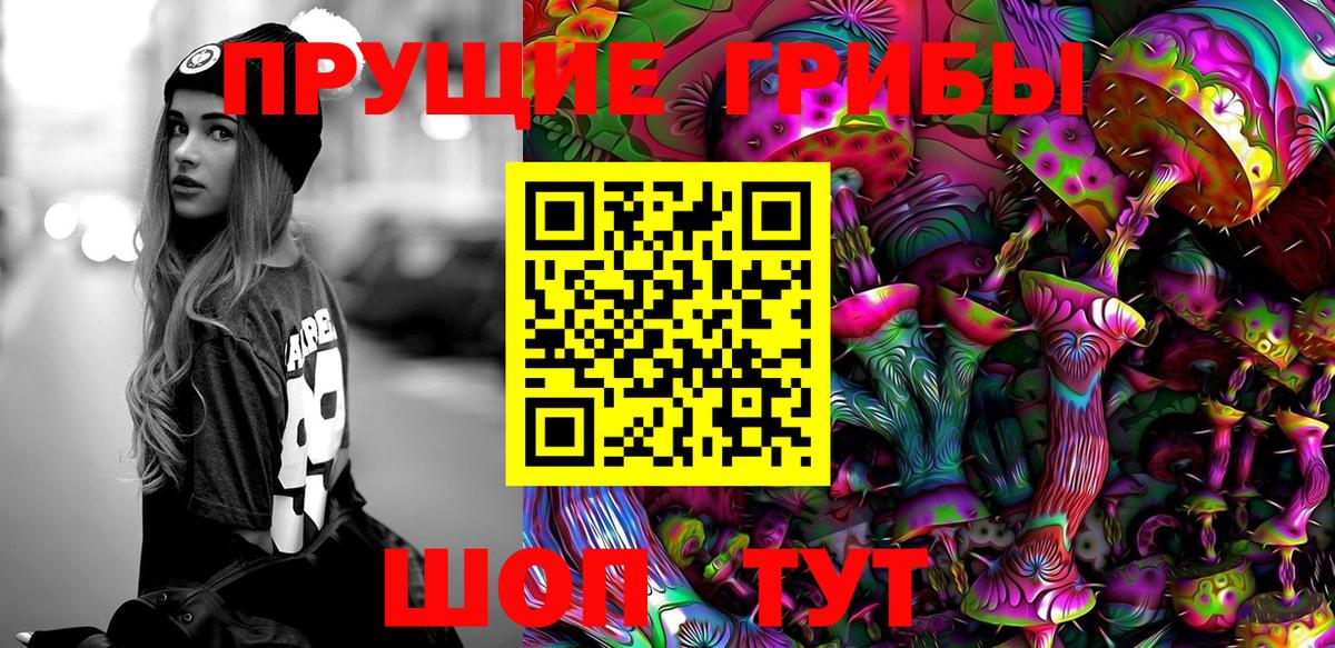 Псилоцибиновые грибы прущие грибы Лениногорск